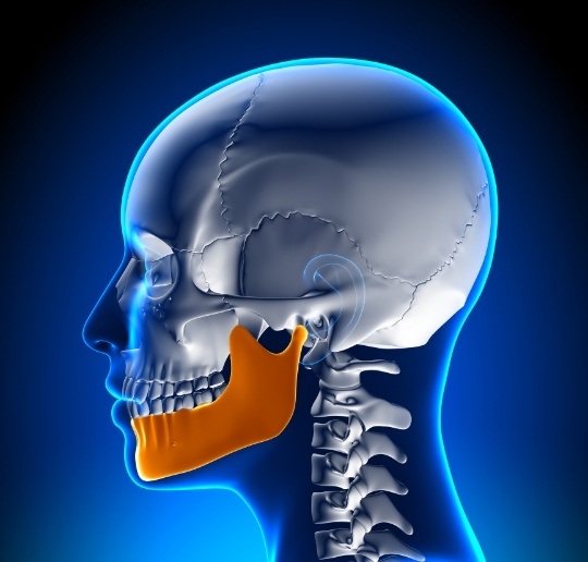 Animated jaw and skull bone before occlusal adjustment
