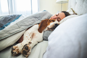 Woman and dog sleeping in bed